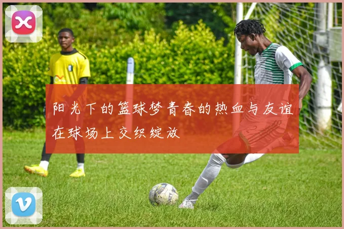 阳光下的篮球梦青春的热血与友谊在球场上交织绽放