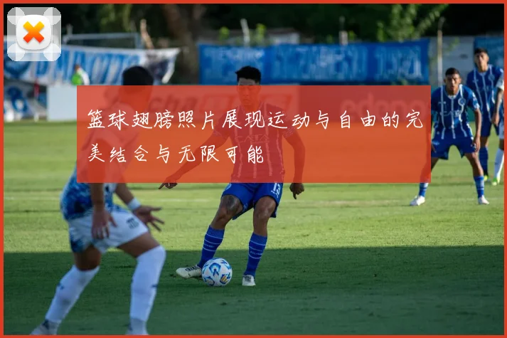 篮球翅膀照片展现运动与自由的完美结合与无限可能