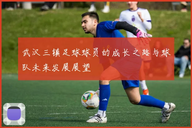 武汉三镇足球球员的成长之路与球队未来发展展望