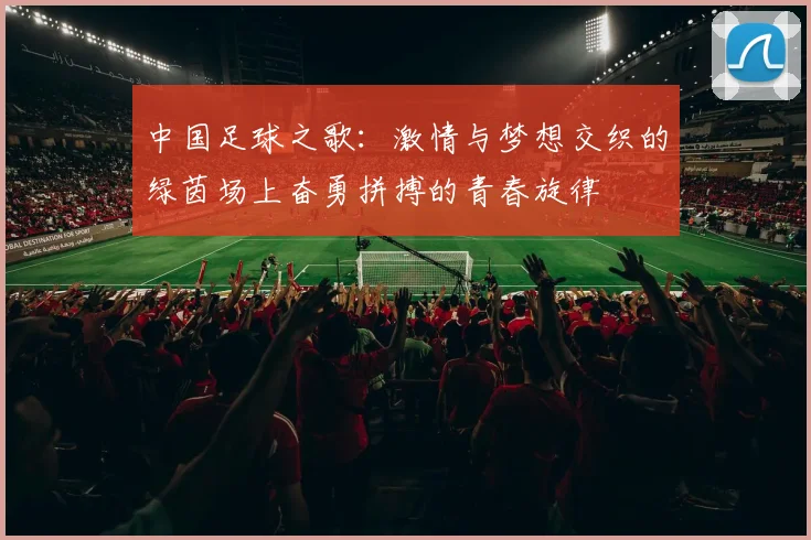 中国足球之歌：激情与梦想交织的绿茵场上奋勇拼搏的青春旋律