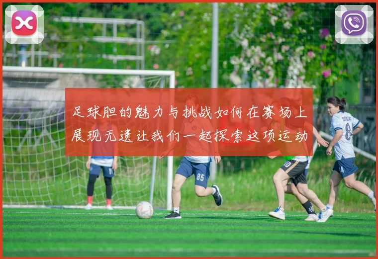 足球胆的魅力与挑战如何在赛场上展现无遗让我们一起探索这项运动的激情与智慧