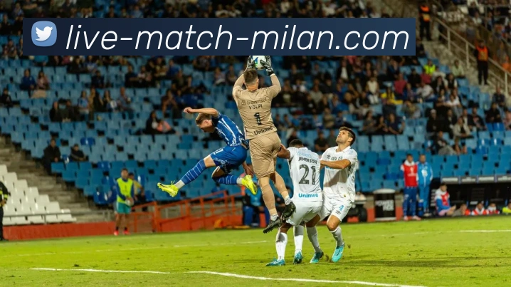 米兰体育中国平台生态图