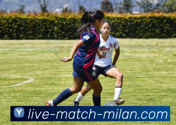 米兰体育中国全站App